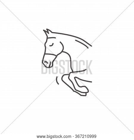 A Pony Jumps Over Barrier. Equestrian Sport.
