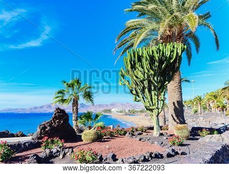 Puerto Del Carmen Beach In Lanzarote, Canary Islands, Spain. Blue Sea, Palm Trees, Selective Focus
