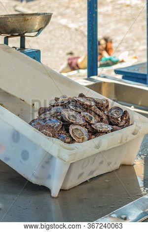 Small Private Seafood Market. On The Counter Is A White Plastic Tray With Fresh, Wild Lapas - Platel