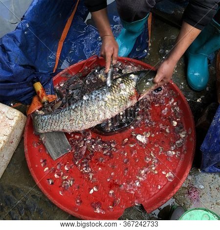 Top view on the hands of a fisherman cleaning a fish fin on its working table