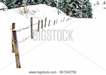 Close-up Barbed Wire Divides The Fields On Fresh Snow On The Asiago Plateau In The Province Of Vicen