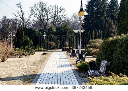 Tile Path In A Park With Benches, Lanterns And Vegetation Against A Clear Sky On A Clear Day In Earl