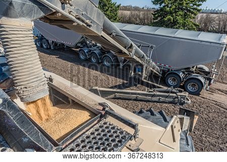Loading Wheat Seed From The Semi Into The Air Drill For Seeding In Saskatchewan, Canada