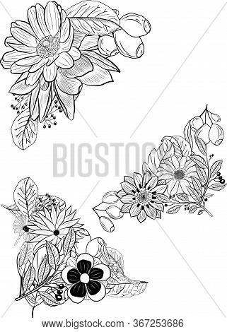 Hand Drawing Floral Corners Clip Arts Mit Transparent Background