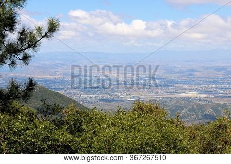 Pine Trees And Chaparral Shrubs At A Temperate Forest Overlooking The Town Of Hemet, Ca Taken In The
