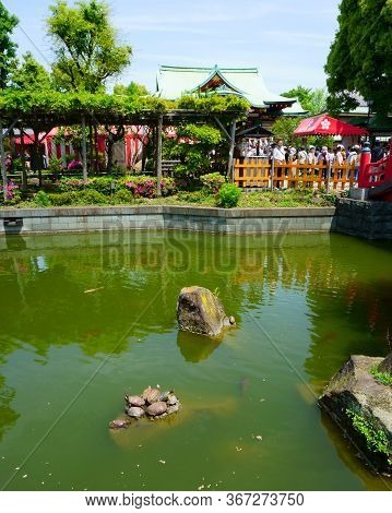 Tokyo / Japan - May 05, 2019: Relaxing Gardens In Kameido Tenjin Shrine. The 