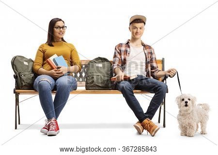 Students sitting on a bench with a maltese poodle dog isolated on white background