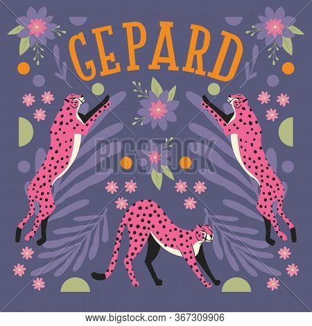 Collection Of Cute Hand Drawn Pink Cheetahs Jumping And Stretching On Dark Purple Background With Ex