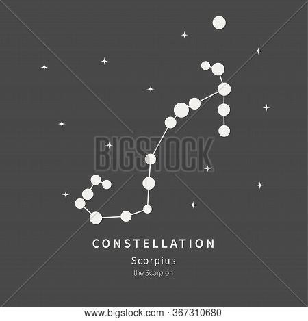 The Constellation Of Scorpius. The Scorpion - Linear Icon. Vector Illustration Of The Concept Of Ast