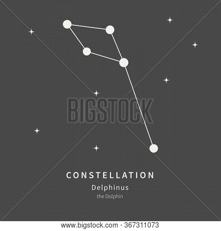 The Constellation Of Delphinus. The Dolphin - Linear Icon. Vector Illustration Of The Concept Of Ast