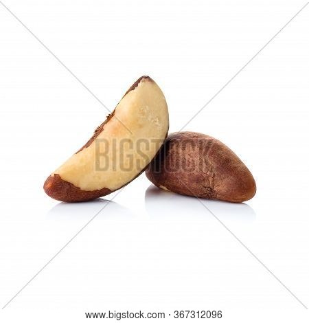 Brazil Nut On A White Background, Bertholletia Excelsa Isolated.