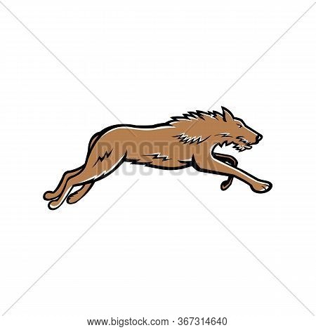 Sports Mascot Icon Illustration Of Scottish Deerhound Or The Deerhound, A Large Breed Of Hound Bred 