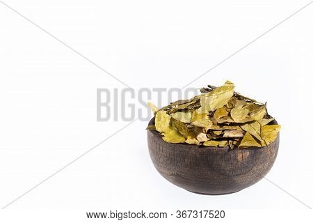 Dried Coca Leaves - Erythroxylum Coca. White Background