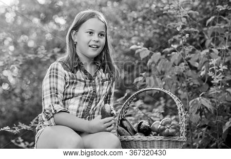 Reason In Food. Kid On Summer Farm. Organic Food. Happy Little Farmer. Autumn Harvest. Little Girl V