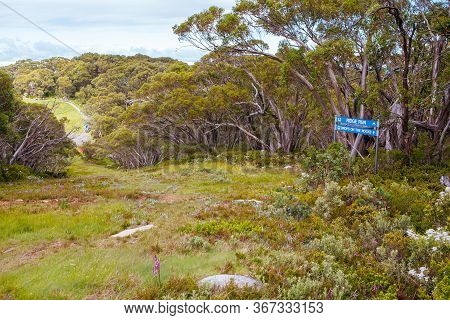 Mt Baw Baw Walking Trails In Summer In Australia