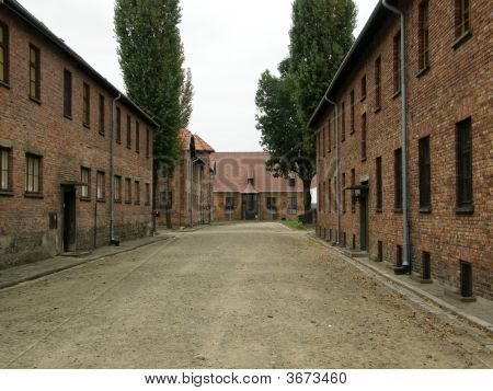 Auschwitz - miejsce realizacji