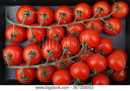 Fresh Organic Cherry Tomatoes. The Cherry Tomato Is Regarded As A Botanical Variety Of The Cultivate