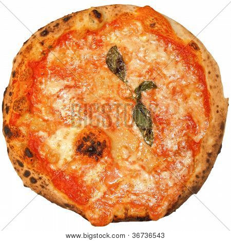 Mushroom Pizza