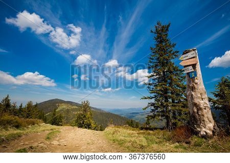 Spring Trekking Beskidy Rysianka Romanka