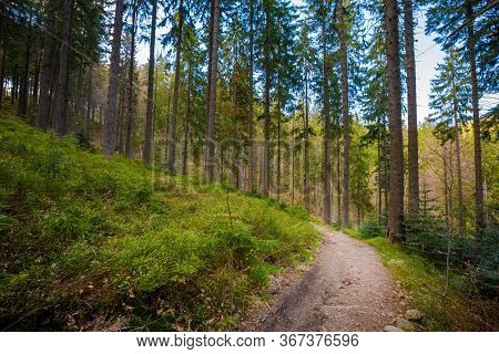 Spring Trekking Beskidy Rysianka Romanka