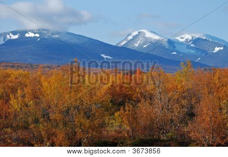 Paesaggio autunnale In Svezia