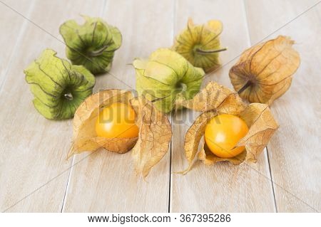 Physalis Peruviana - Golden Berry, Tropical Fruit Uchuva