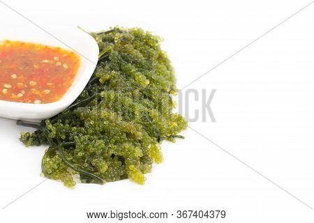 Sea Grapes / Green Caviar (caulerpa Lentillifera) A Healthy Seaweed Food