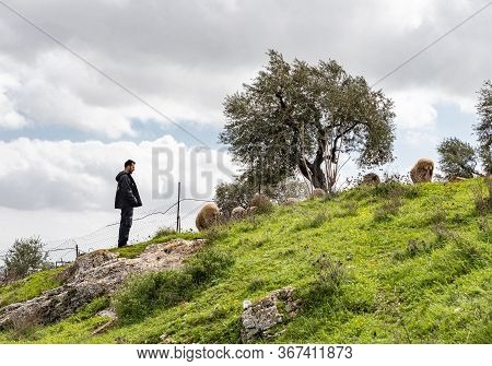 Jerusalem, Israel, February 29, 2020 : Shepherd Grazing Sheep On The Gey Ben Hinnom Park Slope - Cal