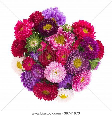 buket af aster blomster