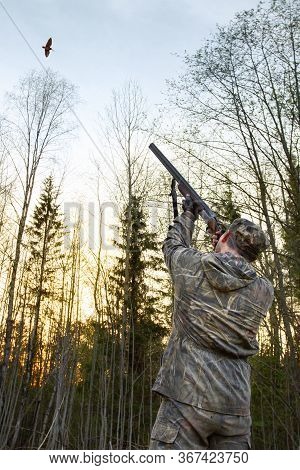 The Hunter Stands At Dusk In A Forest Clearing And Shoots A Shotgun At A Male Woodcock, Which Makes 