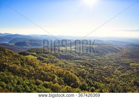 The Sataplia Natural Reserve Forest Of Georgia.