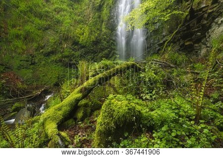 Fresh Waterfall