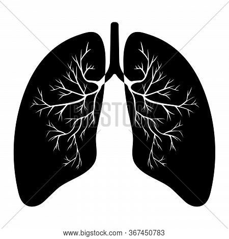 Human Lung Anatomy. Respiratory Tract Disease. Respiratory Systems. Vector Illustration