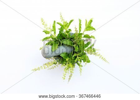 Holy Basil Leaves With Flower In Stone Mortar And Pestle On White Background. Top View