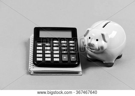 Trading Exchange. Trade Market. Finance Control. Credit Concept. Calculate Profit. Piggy Bank Pink P