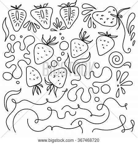 Outline Vector Strawberries And Splashes Illustration, Simple Doodles For Design And Creativity