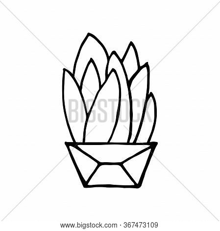 Doodle Plant In A Faceted Pot. Hand-drawn Leaves With Poly Flower Pot. Black Outline Of A Home Plant