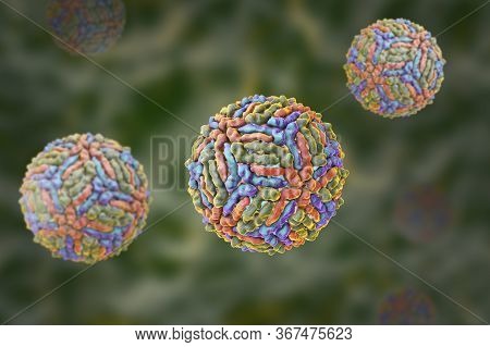 West Nile Virus, Wnv, 3d Illustration. A Virus That Is Transmitted By Mosquito And Causes West Nile 