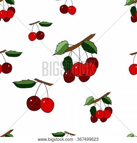 Seamless Pattern With Cherry Stock Illustration, Vector, Hand Drawing, Design Element  For Printing,