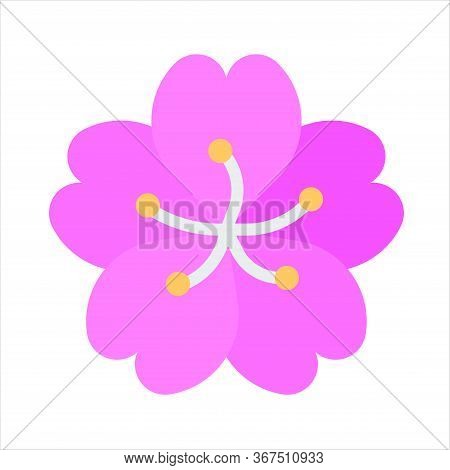 The Sakura Flower Simple Vector Image Pink