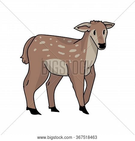Kawaii Forest Doe Deer Vector Illustration. Buck Deer With Antlers. Childlish Hand Drawn Doodle Styl