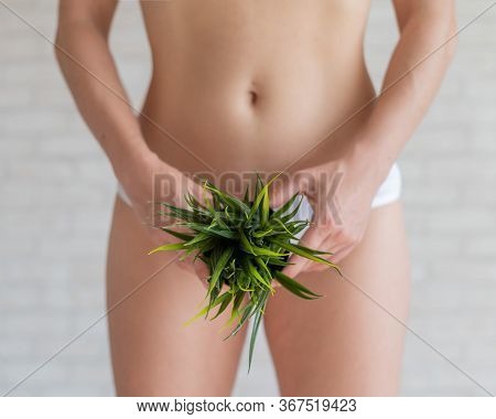 A Woman In White Panties Holds A Pot With A Bushy Plant On A Background Of Light Bricks. Bikini Zone
