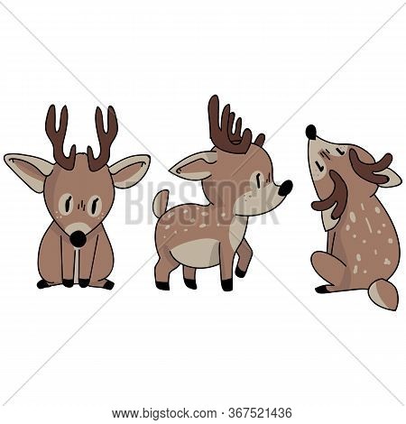 Cute Woodland Deer Set Animal Vector Illustration. Buck Deer With Antlers. Childlish Hand Drawn Dood