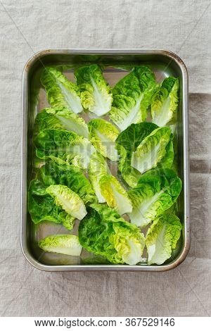 Fresh Green Leaves Of Baby Cos Lettuce On A Table