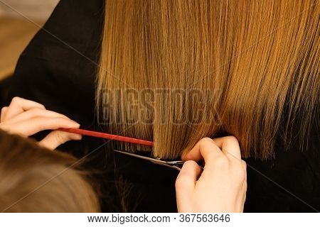 Young Customer With Long Demaged Hair In Hairdressing Salon. Hair Care Problems. Hairstylist Doing H