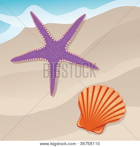 Морская звезда и shell
