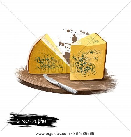 Shropshire Blue Cheese On Wooden Board With Knife Digital Art Illustration Isolated On White. Fresh 