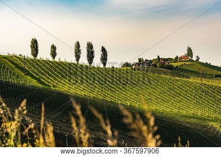 Austria Vineyards Sulztal Weinstrasse South Styria Tourist Spot, Wine Country Places To See