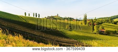 Austria Vineyards Sulztal Weinstrasse South Styria Tourist Spot, Wine Country Places To See