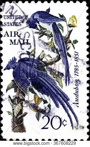 02 10 2020 Divnoe Stavropol Territory Russia Postage Stamp United States 1967 Airmail Audubon - Blac